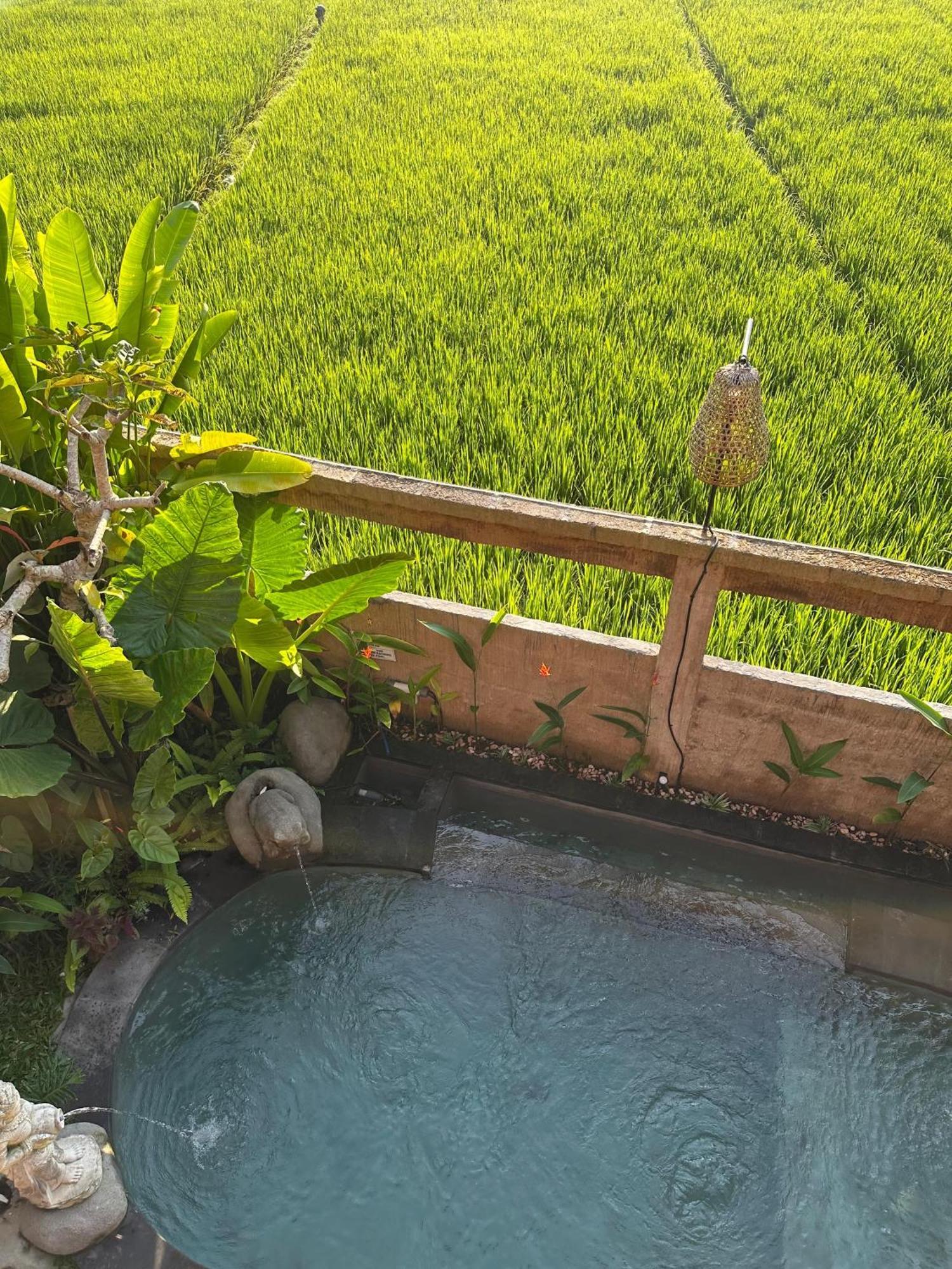 Aditara Sebatu Villa Ubud  Exterior photo